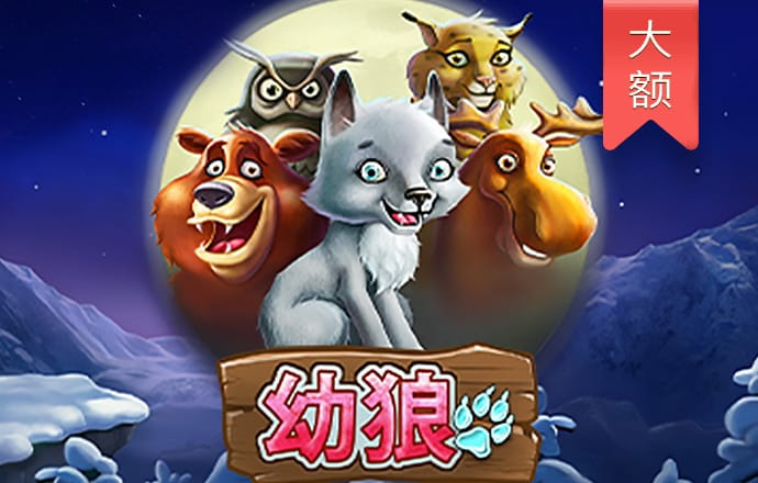 s8sp加密路线入口官网链接